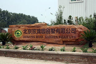 假山專(zhuān)業(yè)報(bào)價(jià)與優(yōu)質(zhì)供應(yīng)商選擇指南