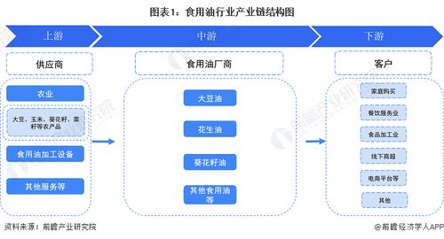 食用油行業(yè)產(chǎn)業(yè)鏈全景梳理與互聯(lián)網(wǎng)接入服務(wù)區(qū)域熱力地圖分析